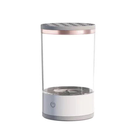 Speedy Brush Purifier
